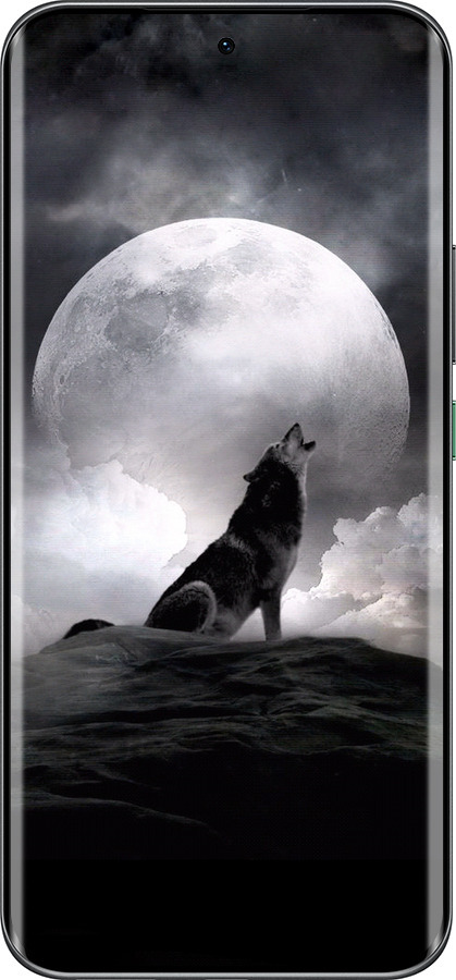 Силиконовый чехол Воющий волк для Infinix Hot 60 Pro+ - 934u-4125 изображение 