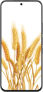 Силіконовий чехол Колоски пшениці для Infinix Hot 60 Pro - 5866u-4126 изображение 