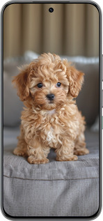 Силиконовый чехол Mini-maltipoo для Infinix Hot 60 Pro - 6158u-4126 изображение 