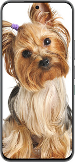 Силиконовый чехол Йоркширский терьер с хвостиком для Infinix Hot 60 Pro - 930u-4126 изображение 