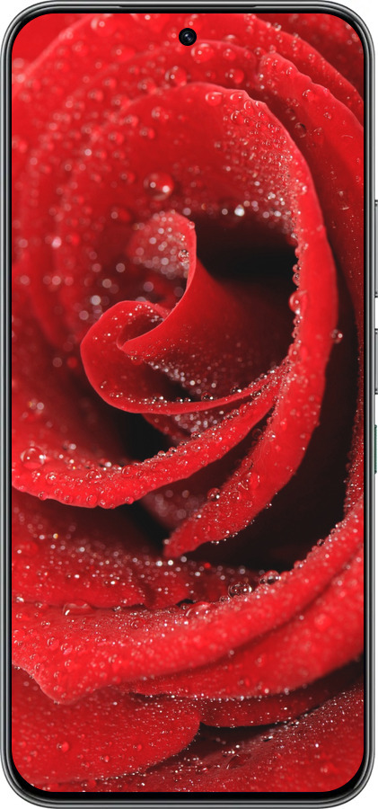 Силіконовий чехол Червона троянда для Infinix Hot 60 Pro - 529u-4126 изображение 