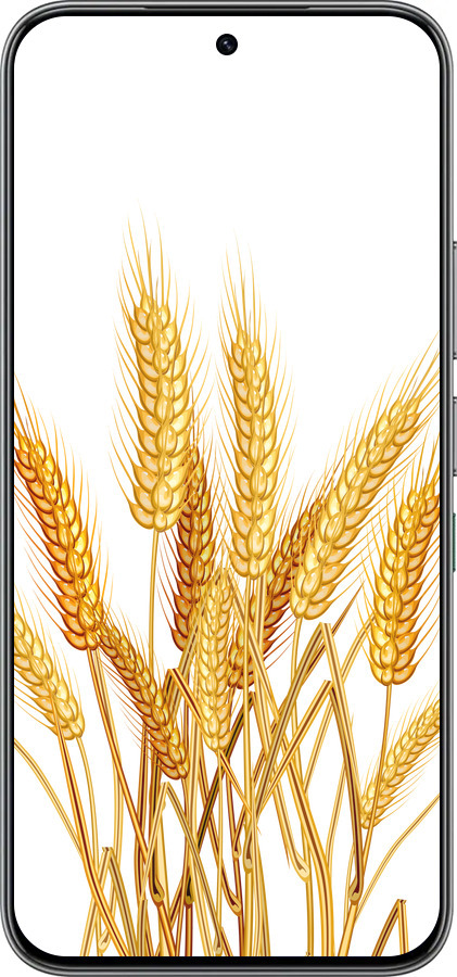 Силіконовий чехол Колоски пшениці для Infinix Hot 60 Pro - 5866u-4126 изображение 