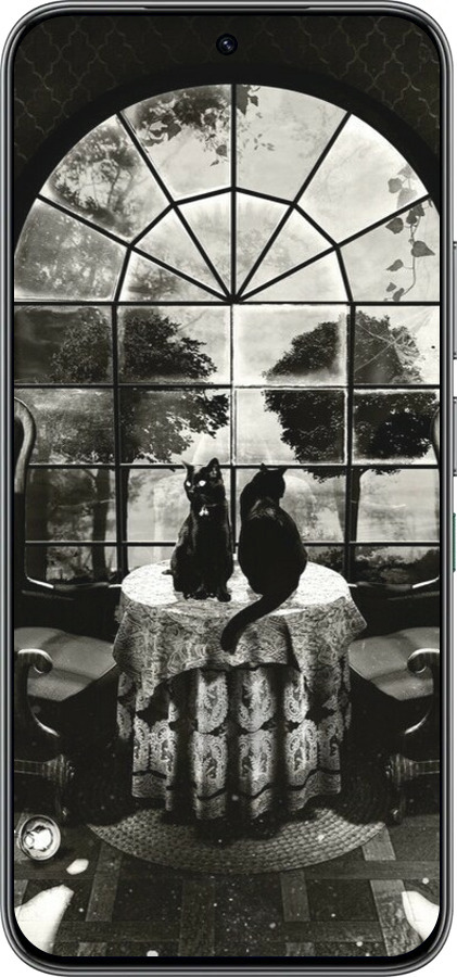 Силиконовый чехол Череп и коты для Infinix Hot 60 Pro - 6432u-4126 изображение 