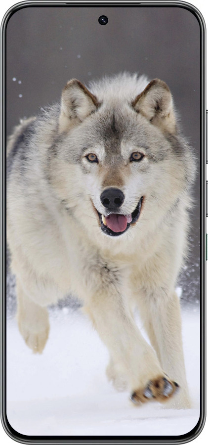 Силиконовый чехол Бегущий волк для Infinix Hot 60 Pro - 826u-4126 изображение 