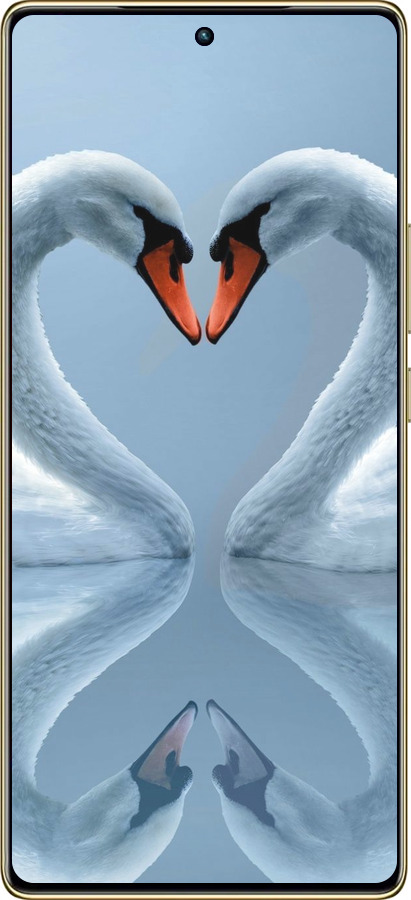 TPU чехол Лебеді для Infinix Note 40 Pro 4G - 6007b-3691 изображение 