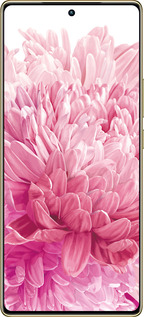 Силиконовый чехол Хризантема для Infinix Note 40 Pro 4G - 4666u-3691 изображение 
