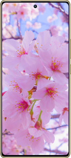 Силиконовый чехол Сакура для Infinix Note 40 Pro 4G - 6029u-3691 изображение 