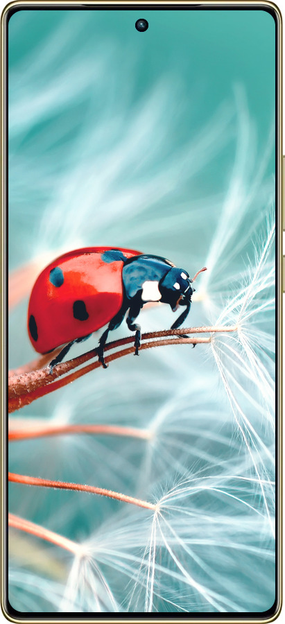 Силиконовый чехол Божья коровка для Infinix Note 40 Pro 4G - 6049u-3691 изображение 