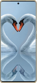 TPU чехол Лебеді для Infinix Note 40 PRO 5G - 6007b-3690 изображение 