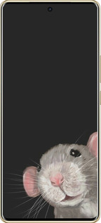 TPU чехол The Peeking Rat для Infinix Note 40 Pro+ 5G - 6442b-3801 изображение 