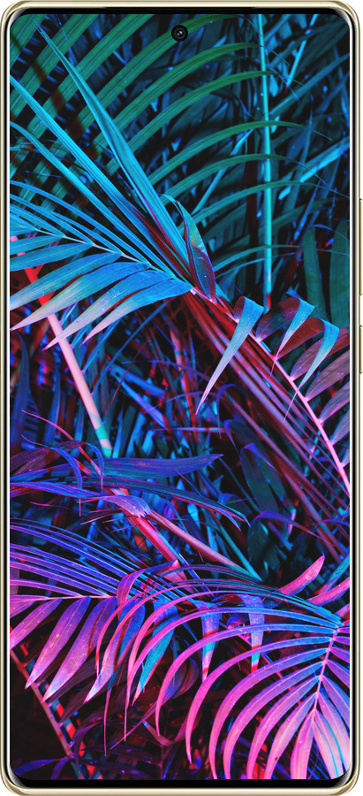 TPU чехол Папоротник под ультрафиолетом для Infinix Note 40 PRO 5G - 4069b-3690 изображение 