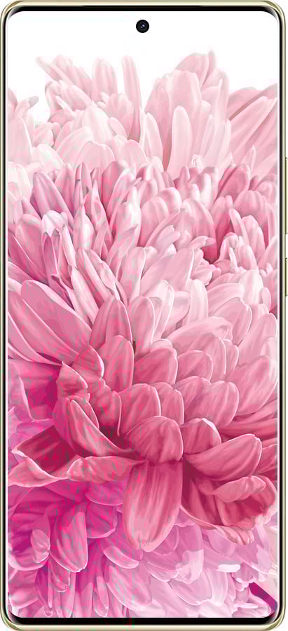 TPU чехол Хризантема для Infinix Note 40 PRO 5G - 4666b-3690 изображение 