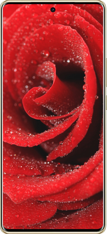 TPU чехол Червона троянда для Infinix Note 40 Pro+ 5G - 529b-3801 изображение 