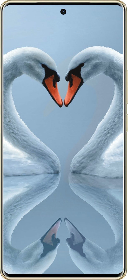 TPU чехол Лебеді для Infinix Note 40 PRO 5G - 6007b-3690 изображение 