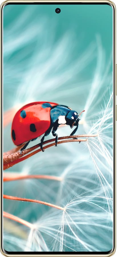 TPU чехол Божья коровка для Infinix Note 40 PRO 5G - 6049b-3690 изображение 