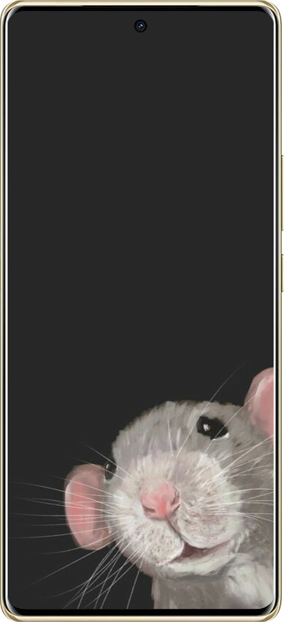 TPU чехол The Peeking Rat для Infinix Note 40 Pro+ 5G - 6442b-3801 изображение 