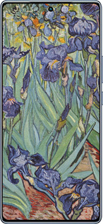 TPU чехол Винсент Ван Гог. Ирисы для Infinix Note 40 - 161b-3707 изображение 