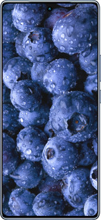 TPU чехол Голубика для Infinix Note 40 - 4459b-3707 изображение 