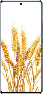 TPU чехол Колоски пшеници для Infinix Note 40 - 5866b-3707 изображение 