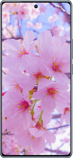 TPU чехол Сакура для Infinix Note 40 - 6029b-3707 изображение 