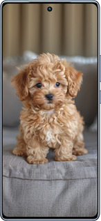 TPU чехол Mini-maltipoo для Infinix Note 40 - 6158b-3707 изображение 