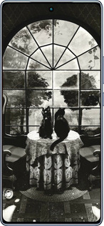 TPU чехол Череп и коты для Infinix Note 40 - 6432b-3707 изображение 