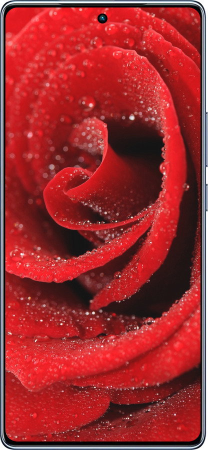 TPU чехол Красная роза для Infinix Note 40 - 529b-3707 изображение 