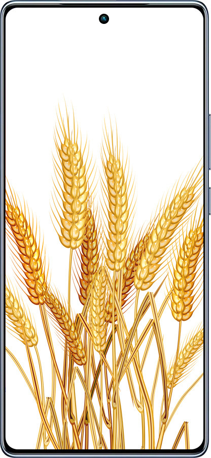 TPU чехол Колоски пшеници для Infinix Note 40 - 5866b-3707 изображение 