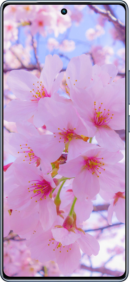 TPU чехол Сакура для Infinix Note 40 - 6029b-3707 изображение 