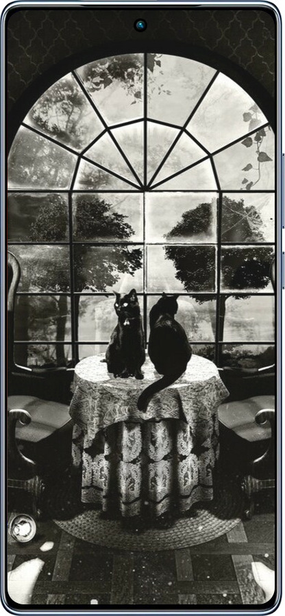 TPU чехол Череп и коты для Infinix Note 40 - 6432b-3707 изображение 