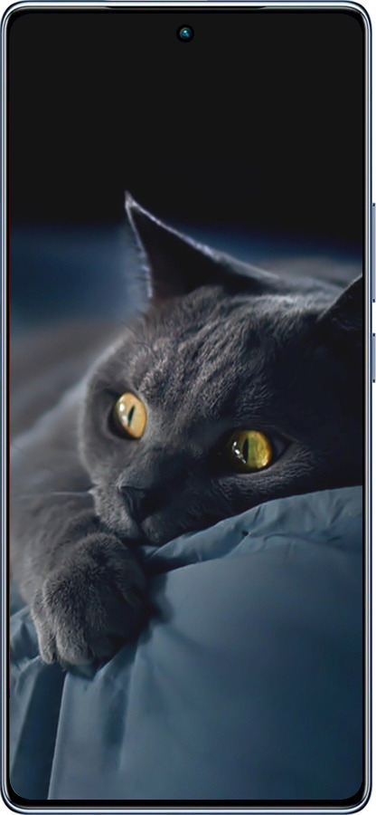 TPU чехол Дымчатый кот для Infinix Note 40 - 825b-3707 изображение 