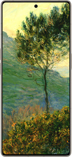 Силиконовый чехол Клод Моне для Infinix Note 50 Pro+ - 1193u-4041 изображение 