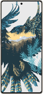 Силиконовый чехол Арт-орел на фоне природы для Infinix Note 50 Pro+ - 3983u-4041 изображение 