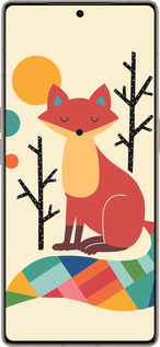 Силиконовый чехол Rainbow fox для Infinix Note 50 Pro+ - 4010u-4041 изображение 