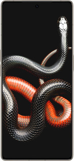 Силиконовый чехол Красно-черная змея на черном фоне для Infinix Note 50 Pro+ - 4063u-4041 изображение 