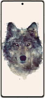 Силиконовый чехол Волк-арт для Infinix Note 50 Pro+ - 4163u-4041 изображение 