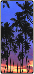 Силиконовый чехол Пальмы для Infinix Note 50 Pro+ - 4324u-4041 изображение 