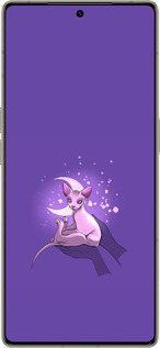 Силиконовый чехол Кот2 для Infinix Note 50 Pro+ - 4676u-4041 изображение 