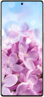 Силиконовый чехол Сирень для Infinix Note 50 Pro+ - 527u-4041 изображение 