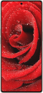 Силиконовый чехол Красная роза для Infinix Note 50 Pro+ - 529u-4041 изображение 