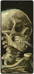 Силіконовий чехол Вінсент Ван Гог. Череп для Infinix Note 50 Pro+ - 5544u-4041 изображение 