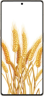Силиконовый чехол Колоски пшеници для Infinix Note 50 Pro+ - 5866u-4041 изображение 