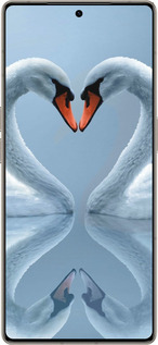 Силиконовый чехол Лебеди для Infinix Note 50 Pro+ - 6007u-4041 изображение 