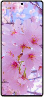 Силиконовый чехол Сакура для Infinix Note 50 Pro+ - 6029u-4041 изображение 