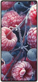 Силіконовий чехол Морозні ягоди для Infinix Note 50 Pro+ - 6033u-4041 изображение 