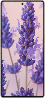 Силиконовый чехол Лаванда для Infinix Note 50 Pro+ - 6037u-4041 изображение 