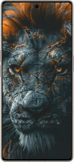 Силиконовый чехол Пламенный лев для Infinix Note 50 Pro+ - 6153u-4041 изображение 