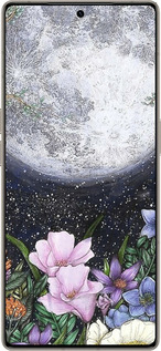 Силіконовий чехол Північ у саду для Infinix Note 50 Pro+ - 6259u-4041 изображение 