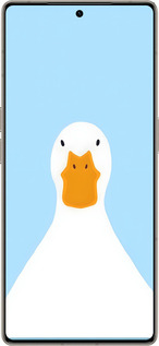 Силиконовый чехол Гусь для Infinix Note 50 Pro+ - 6350u-4041 изображение 