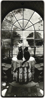 Силиконовый чехол Череп и коты для Infinix Note 50 Pro+ - 6432u-4041 изображение 